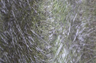 Old Malden fibreglass roof work